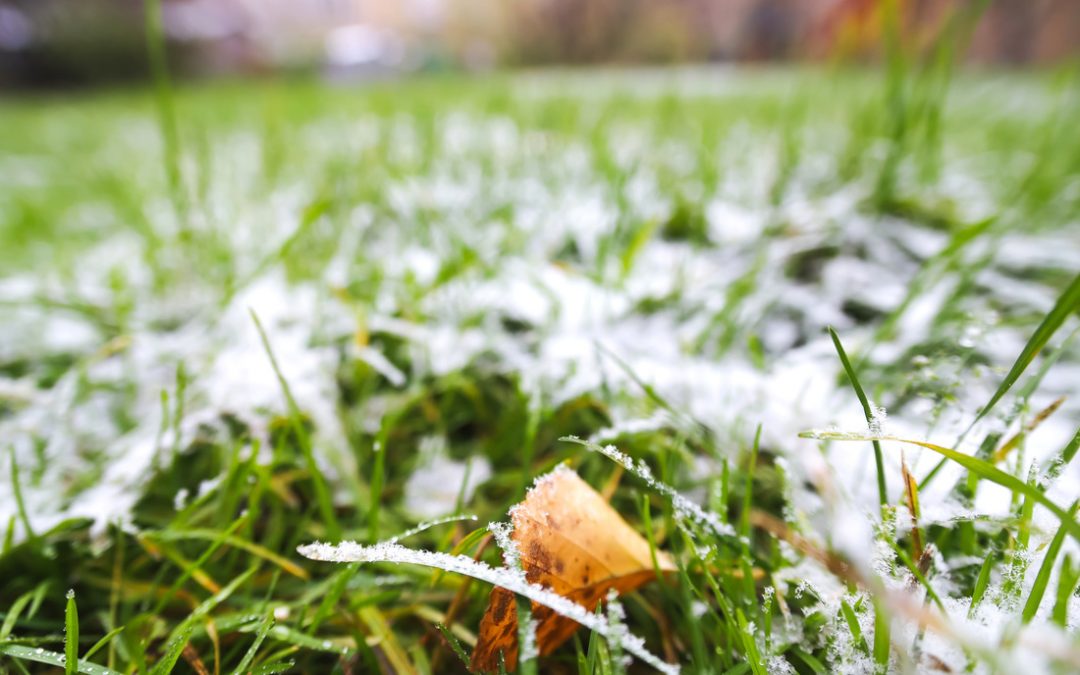 The-First-Frost-and-Your-Lawn-1080x675-5e16266fbfbf4